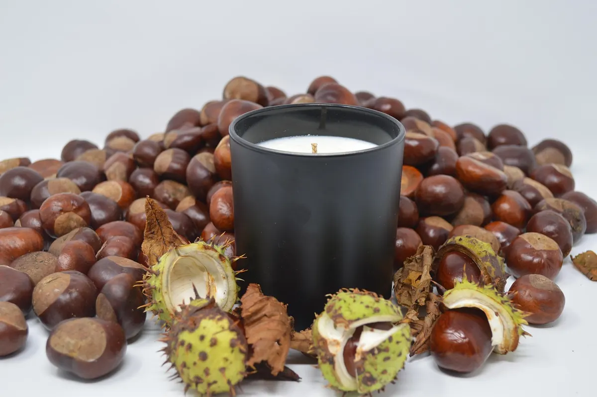 How to Harden a Conker: Baking, Vinegar and Varnish Compared
